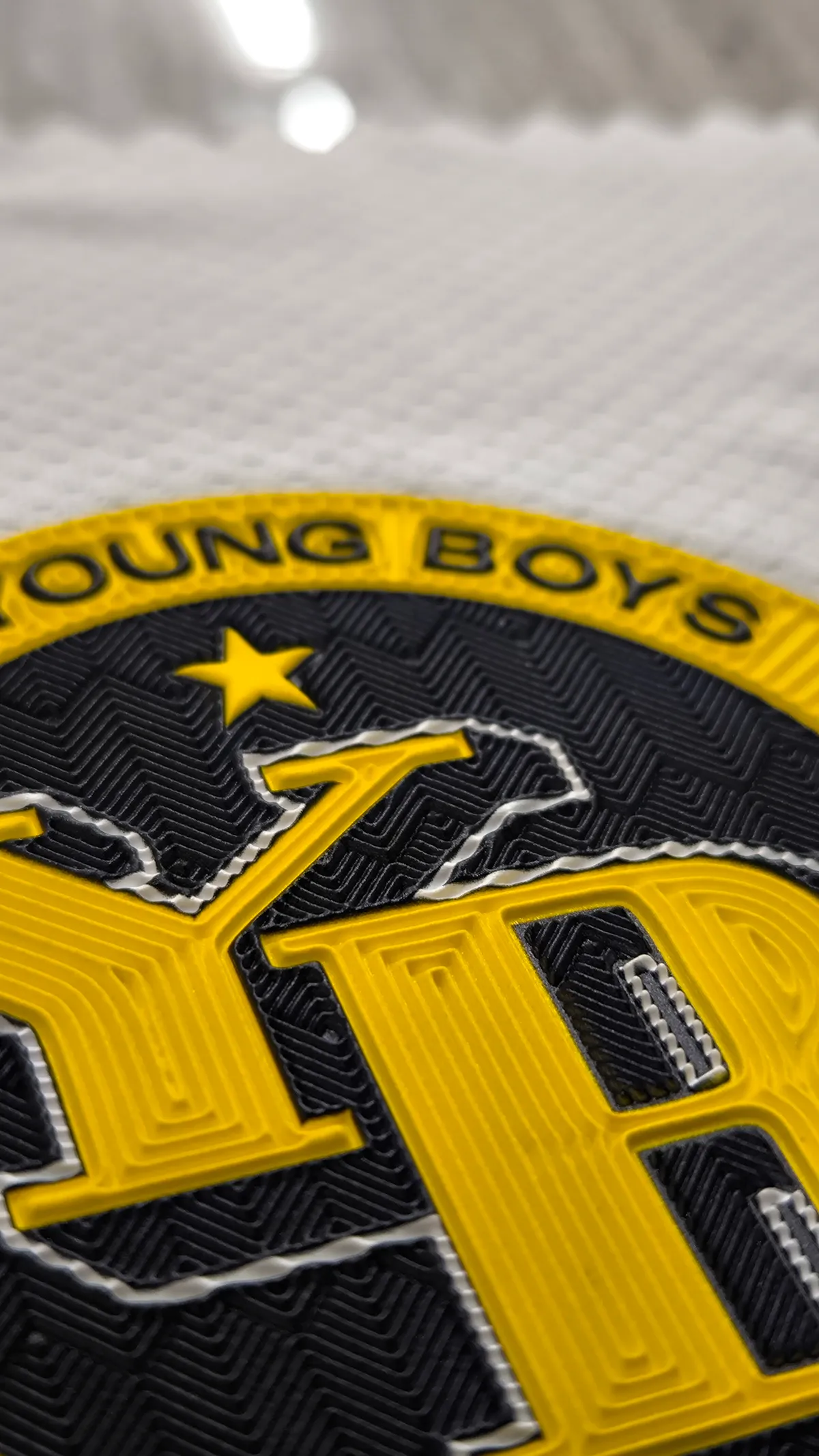 Patch Transfer 2 (12)