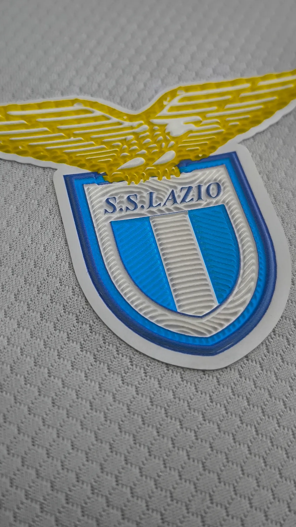 Patch Transfer 2 (23)